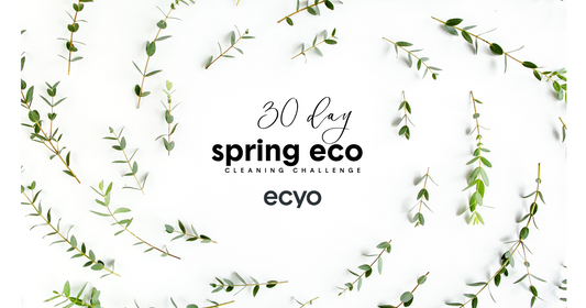 Spring 30-Day Eco-Cleaning Challenge