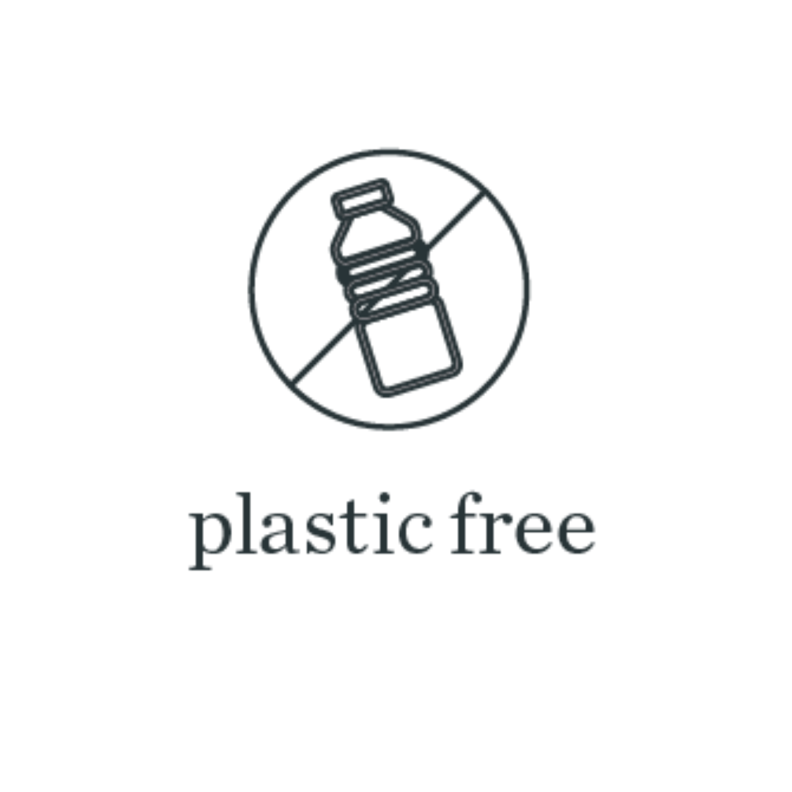 plastic free cleaning
