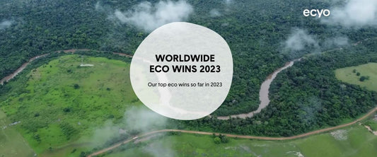 Worldwide Eco-Friendly Wins for 2023