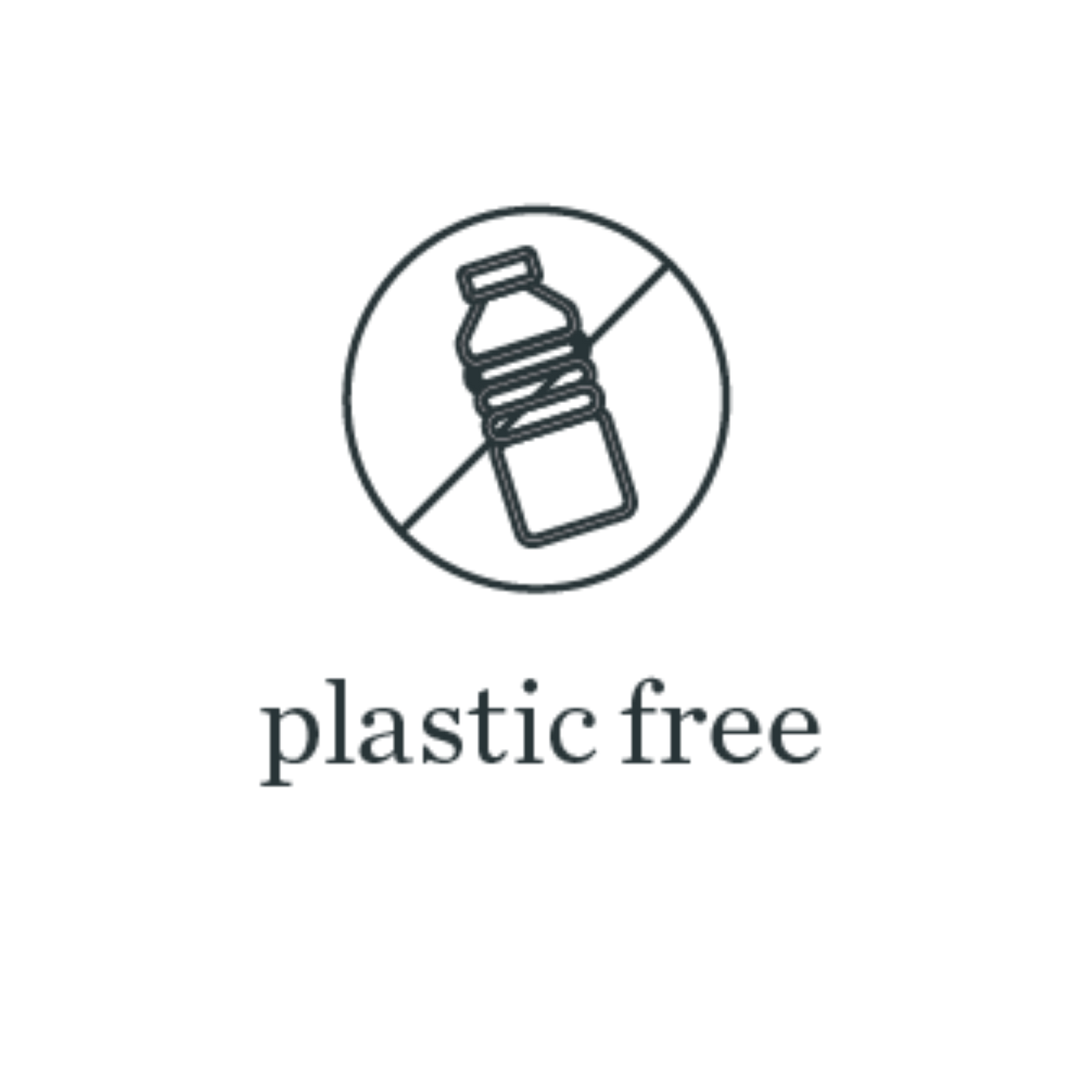 plastic free cleaning